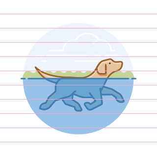 dog-swimming-sky