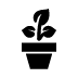 miscellaneous-potted-plant