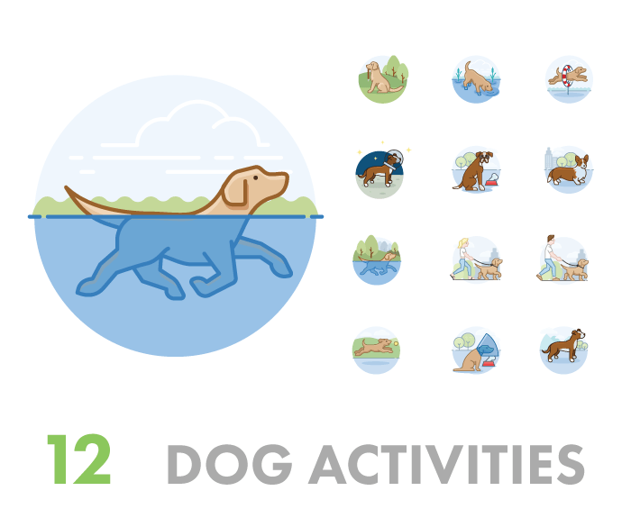 12 Dog Activities Icons