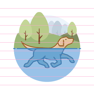 dog-swimming-trees