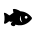 miscellaneous-fish